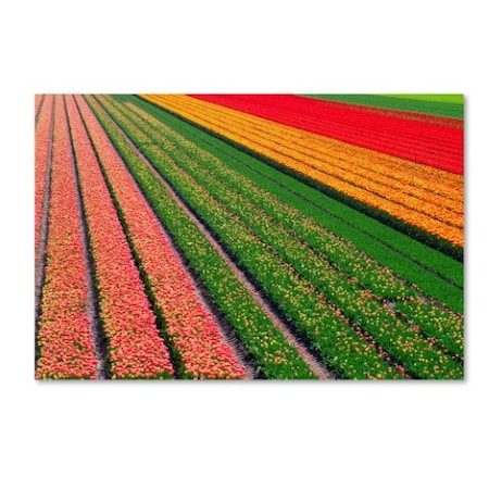 Cora Niele 'Tulip Field In Orang Red And Green' Canvas Art,30x47